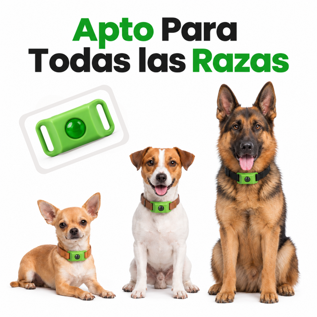 PawMotion™ Collar Antipulgas Natural para Perros - 12 Meses