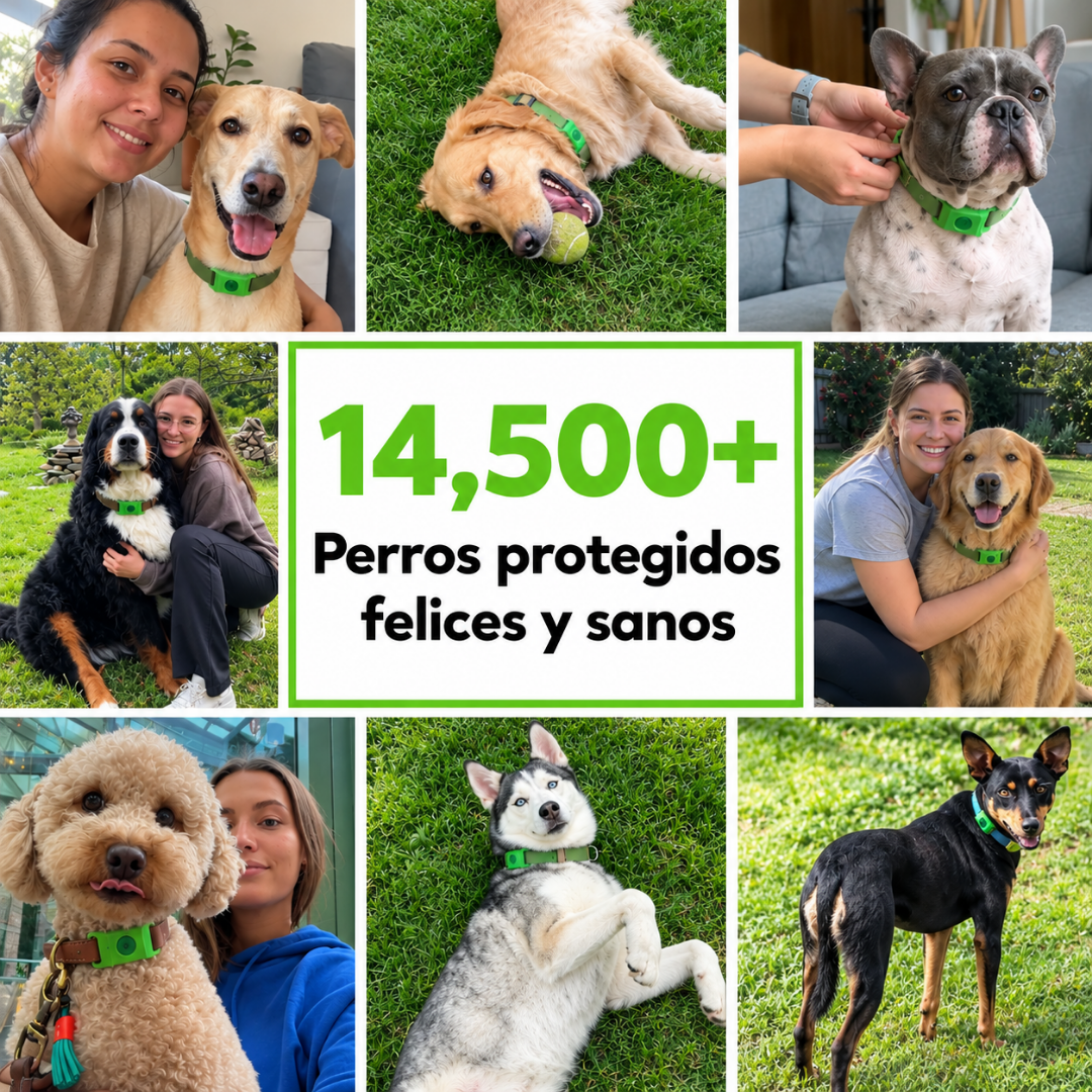 PawMotion™ Collar Antipulgas Natural para Perros - 12 Meses