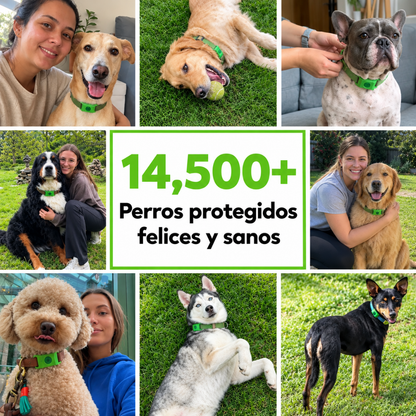 PawMotion™ Collar Antipulgas Natural para Perros - 12 Meses